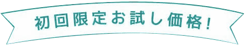 初回限定お試し価格！